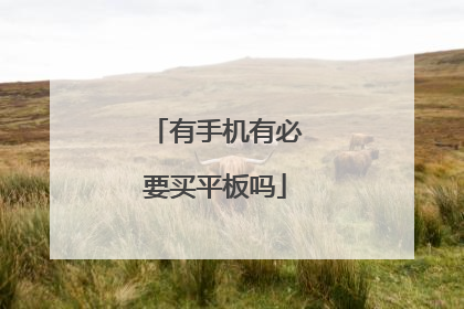 有手机有必要买平板吗