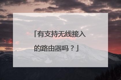 有支持无线接入的路由器吗?