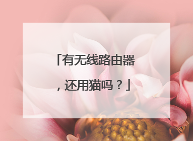 有无线路由器，还用猫吗？
