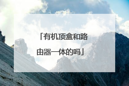 有机顶盒和路由器一体的吗