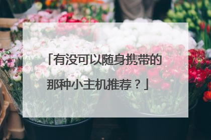 有没可以随身携带的那种小主机推荐？