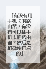 有没有用手机卡的路由器？有没有可以插手机卡的路由器？然后是稍微便宜点的