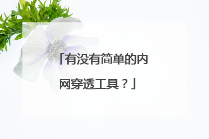 有没有简单的内网穿透工具？