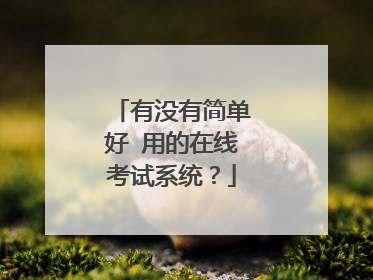 有没有简单好 用的在线考试系统？
