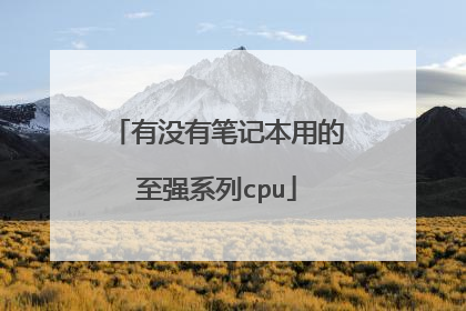 有没有笔记本用的至强系列cpu