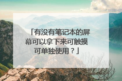 有没有笔记本的屏幕可以拿下来可触摸可单独使用?