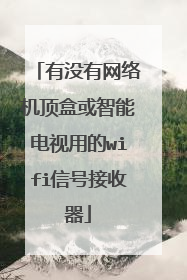 有没有网络机顶盒或智能电视用的wifi信号接收器