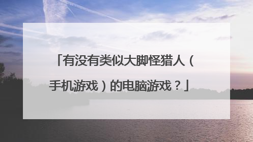 有没有类似大脚怪猎人(手机游戏)的电脑游戏?