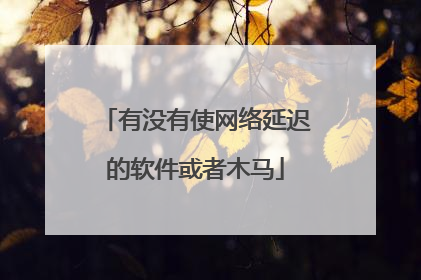 有没有使网络延迟的软件或者木马