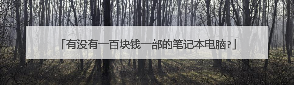 有没有一百块钱一部的笔记本电脑?