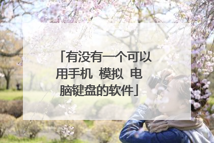 有没有一个可以用手机 模拟 电脑键盘的软件