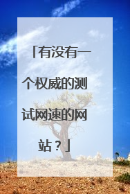 有没有一个权威的测试网速的网站?