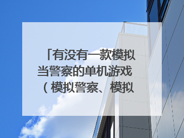 有没有一款模拟当警察的单机游戏（模拟警察、模拟人生免了）比如巡逻、勘察现场、抓人、开警车、下车！谢