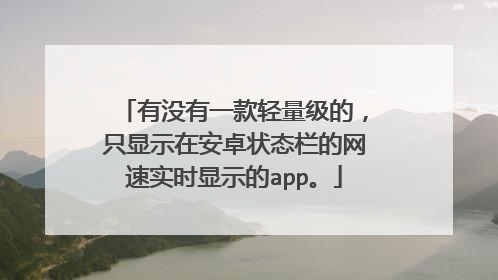 有没有一款轻量级的,只显示在安卓状态栏的网速实时显示的app。