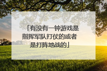 有没有一钟游戏是指挥军队打仗的或者是打阵地战的