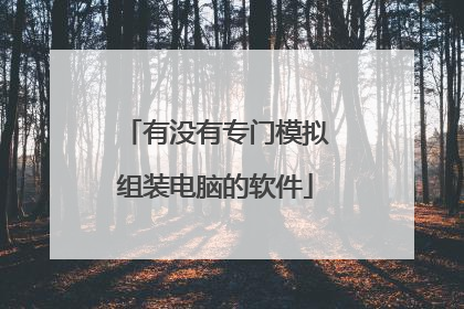 有没有专门模拟组装电脑的软件