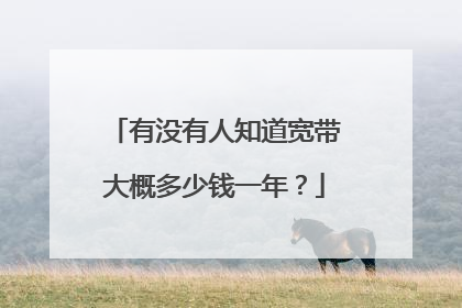 有没有人知道宽带大概多少钱一年?