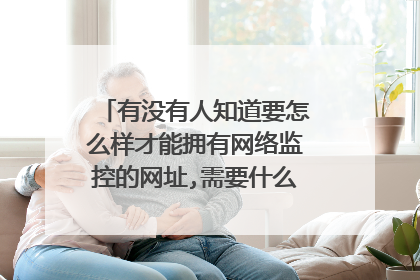 有没有人知道要怎么样才能拥有网络监控的网址,需要什么条件谢谢!