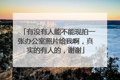 有没有人能不能现拍一张办公室照片给我啊,真实的有人的,谢谢