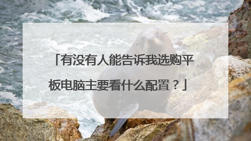 有没有人能告诉我选购平板电脑主要看什么配置?