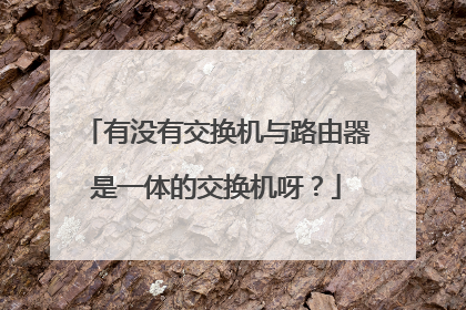 有没有交换机与路由器是一体的交换机呀?