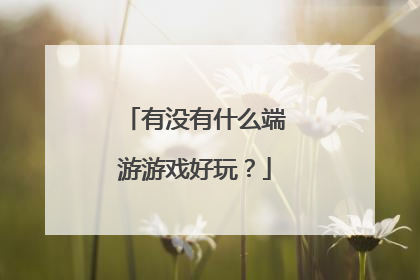 有没有什么端游游戏好玩?