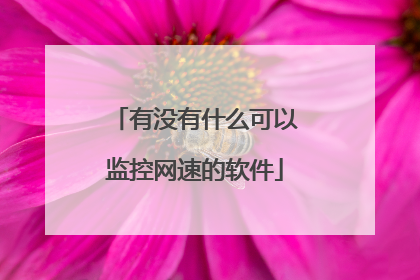 有没有什么可以监控网速的软件