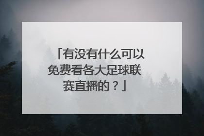 有没有什么可以免费看各大足球联赛直播的？