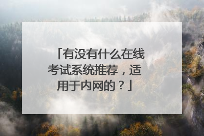 有没有什么在线考试系统推荐，适用于内网的？