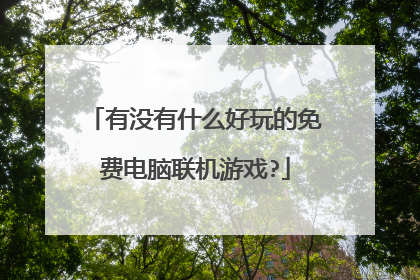 有没有什么好玩的免费电脑联机游戏?