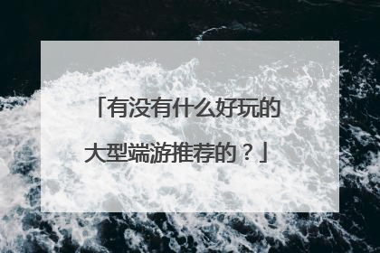 有没有什么好玩的大型端游推荐的?
