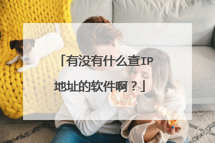 有没有什么查IP地址的软件啊？