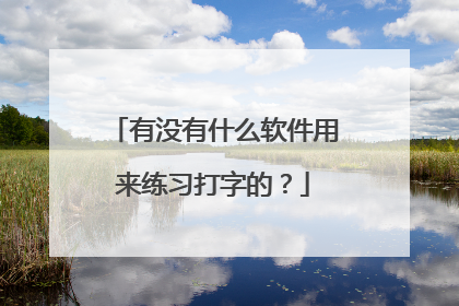 有没有什么软件用来练习打字的？