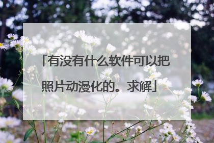 有没有什么软件可以把照片动漫化的。求解