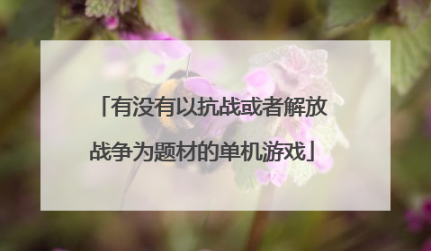 有没有以抗战或者解放战争为题材的单机游戏