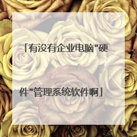 有没有企业电脑