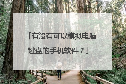 有没有可以模拟电脑键盘的手机软件？