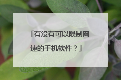 有没有可以限制网速的手机软件?