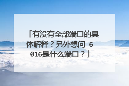 有没有全部端口的具体解释？另外想问 6016是什么端口？