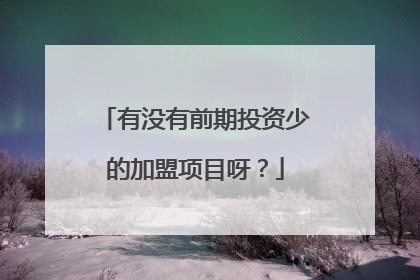 有没有前期投资少的加盟项目呀?