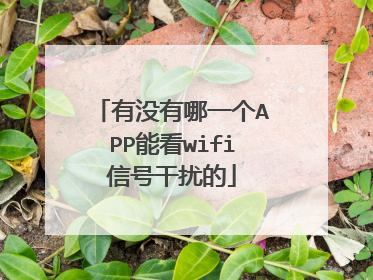 有没有哪一个APP能看wifi信号干扰的