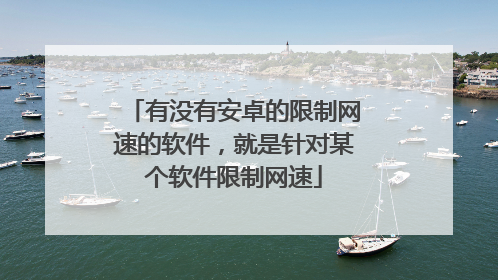 有没有安卓的限制网速的软件，就是针对某个软件限制网速