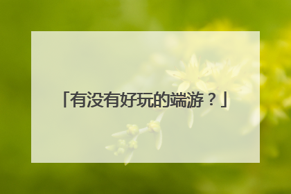 有没有好玩的端游?
