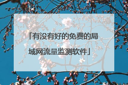 有没有好的免费的局域网流量监测软件