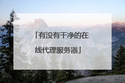 有没有干净的在线代理服务器