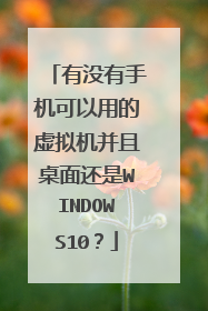 有没有手机可以用的虚拟机并且桌面还是WINDOWS10?