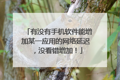 有没有手机软件能增加某一应用的网络延迟，没看错增加！