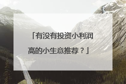 有没有投资小利润高的小生意推荐?