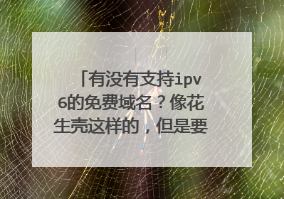 有没有支持ipv6的免费域名？像花生壳这样的，但是要支持ipv6的。