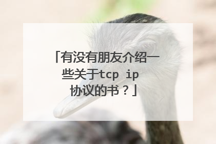 有没有朋友介绍一些关于tcp ip 协议的书?
